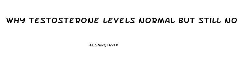 Why Testosterone Levels Normal But Still No Libido