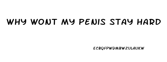 Why Wont My Penis Stay Hard