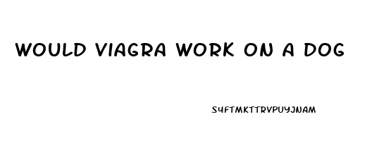 Would Viagra Work On A Dog