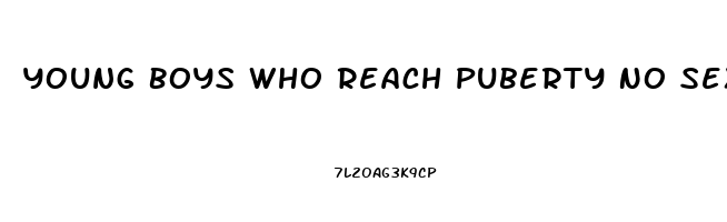 Young Boys Who Reach Puberty No Sexual Interest In Opposite Sex Impotence