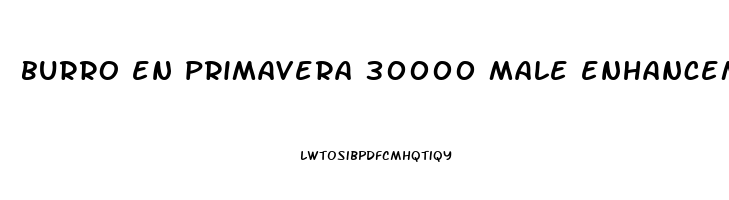 burro en primavera 30000 male enhancement pills