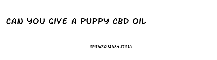 can you give a puppy cbd oil