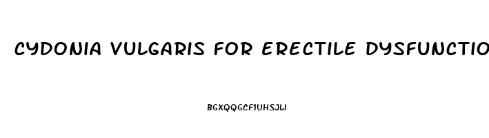 cydonia vulgaris for erectile dysfunction