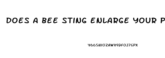 does a bee sting enlarge your penis