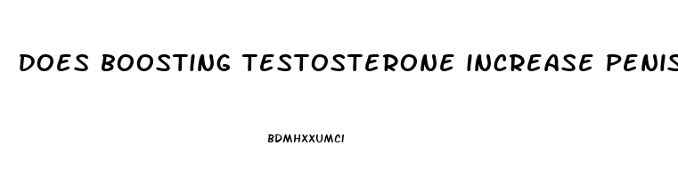 does boosting testosterone increase penis size