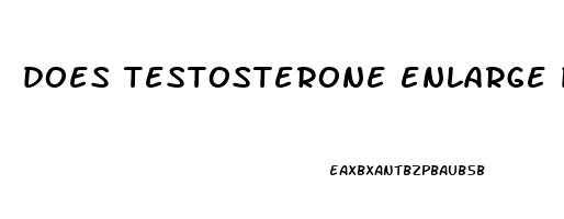 does testosterone enlarge penis