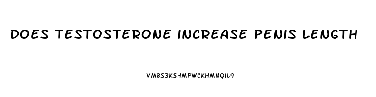 does testosterone increase penis length