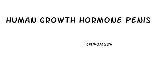 human growth hormone penis