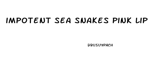 impotent sea snakes pink lipstick