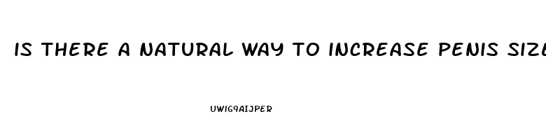 is there a natural way to increase penis size