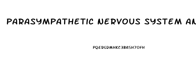 parasympathetic nervous system and erectile dysfunction