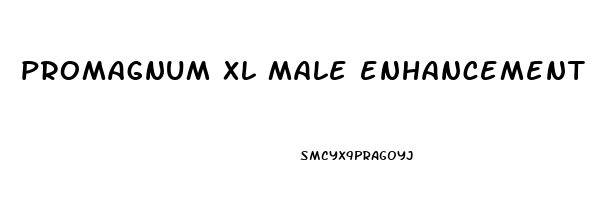 promagnum xl male enhancement