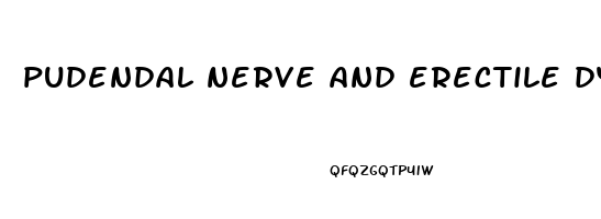 pudendal nerve and erectile dysfunction