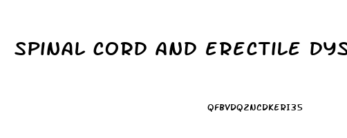 spinal cord and erectile dysfunction