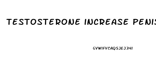 testosterone increase penis size