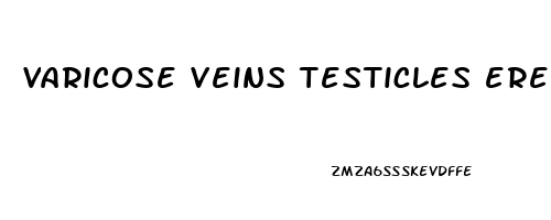 varicose veins testicles erectile dysfunction