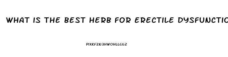 what is the best herb for erectile dysfunction