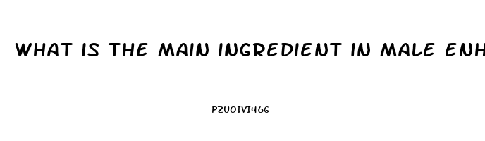 what is the main ingredient in male enhancement pills