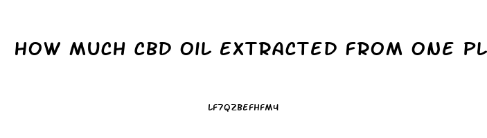 How Much Cbd Oil Extracted From One Plant