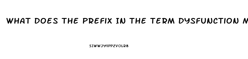 What Does The Prefix In The Term Dysfunction Mean